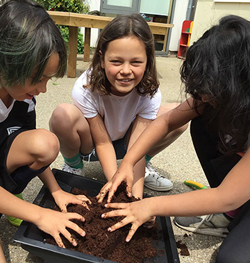 Students handling dirt