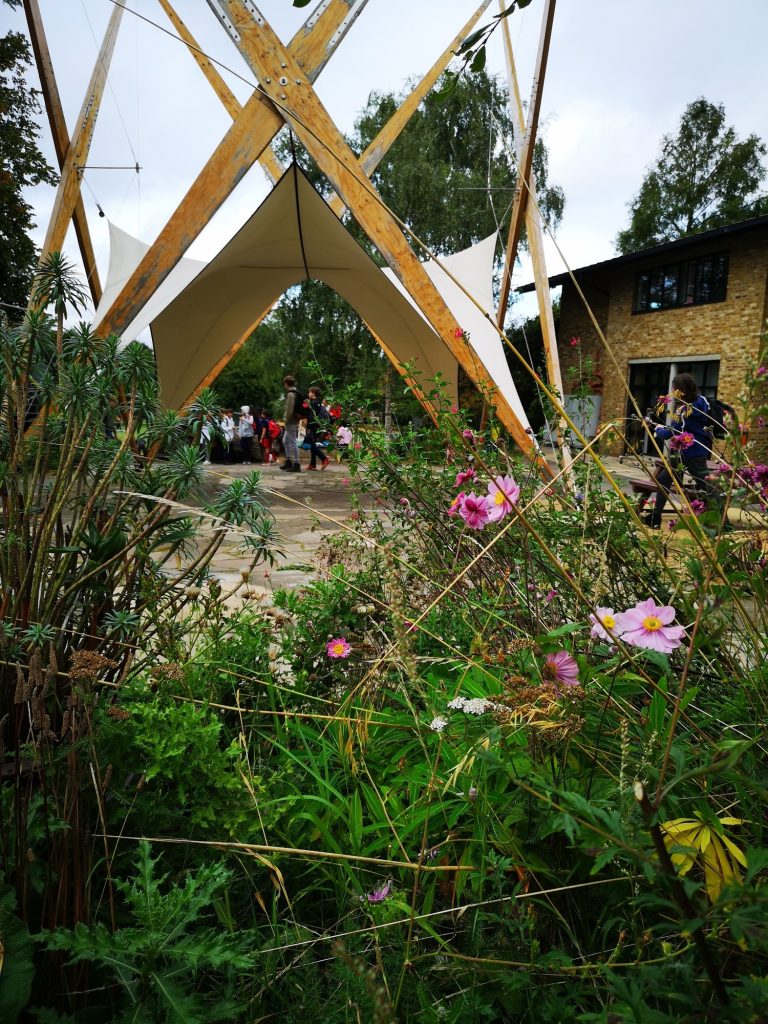 Flowers at Squirrel Hall - King Alfred School