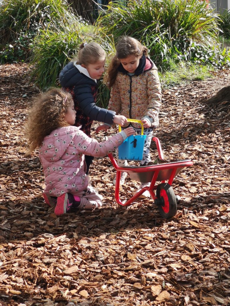 Ivy Wood playtime