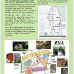 the treehouse project