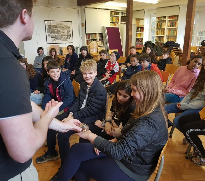 Students sitting in rows