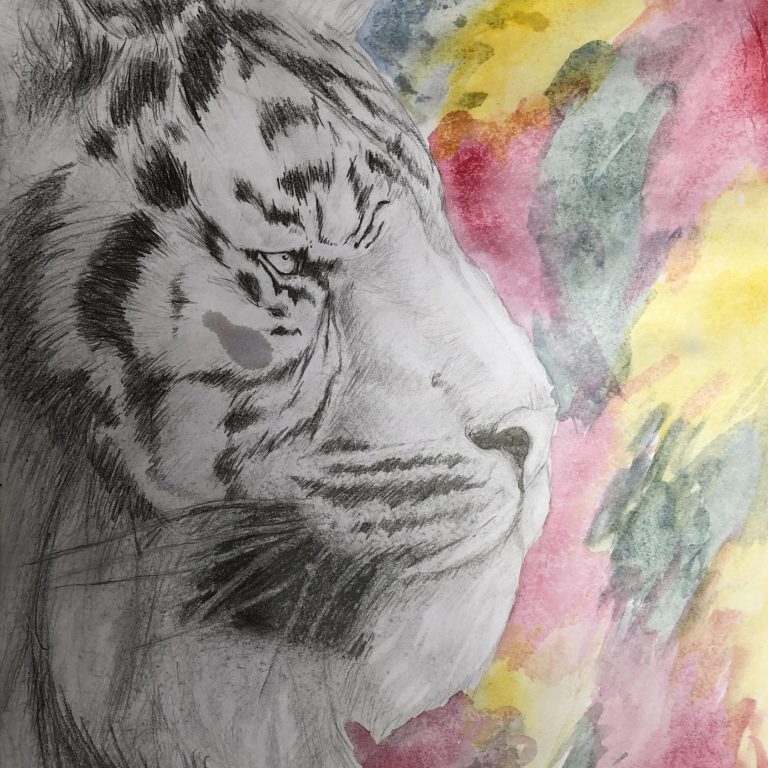Drawing of a leopard