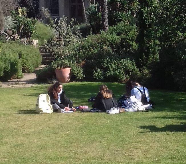 Students sitting on the ground