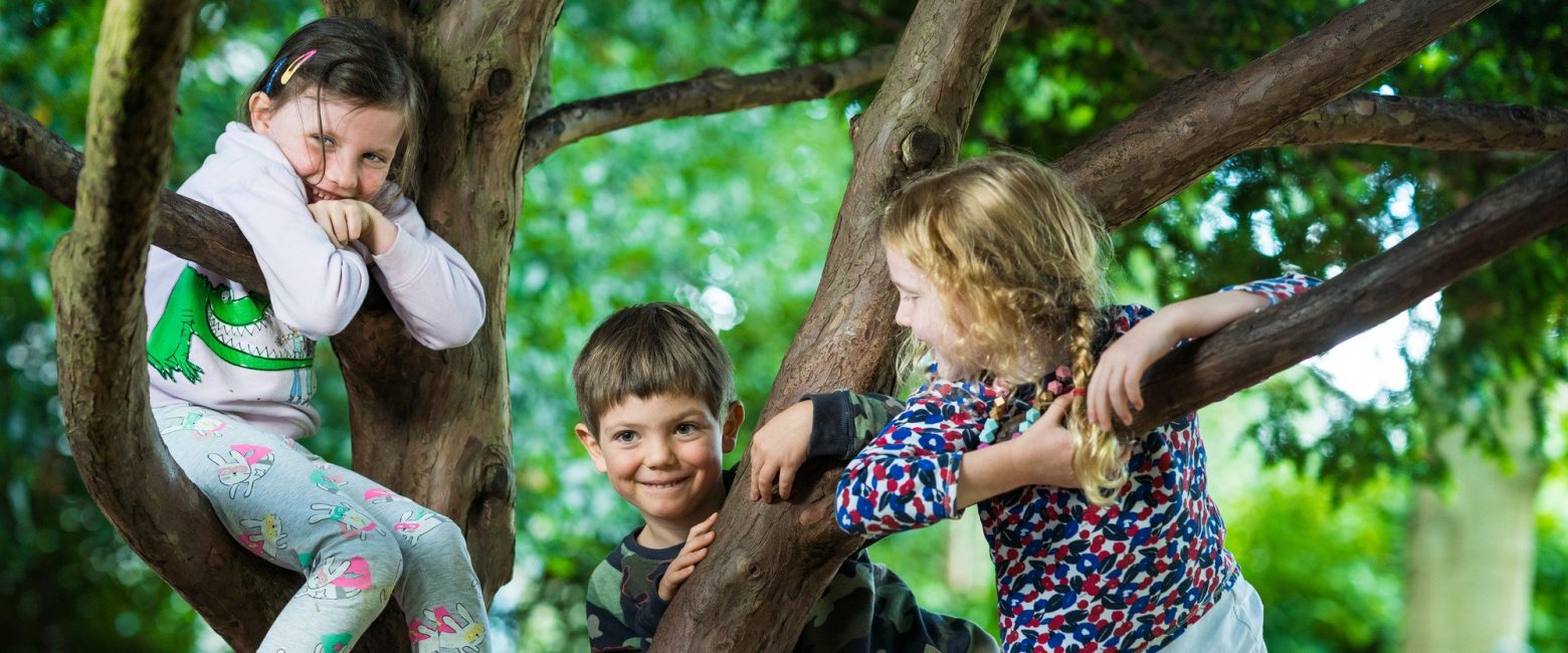 Lower School Students climbing a tree