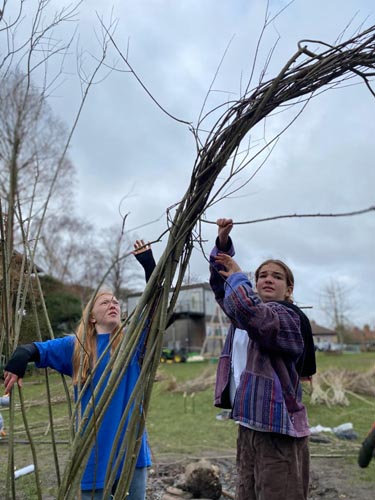 Willow Wall Construction