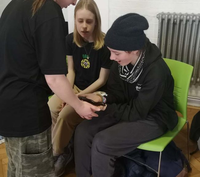 students reacting to animals