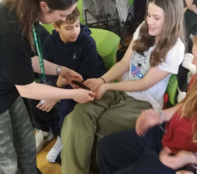 students reacting to holding an animal