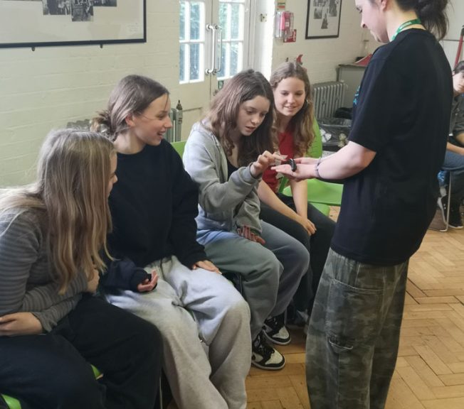 students touching an animal