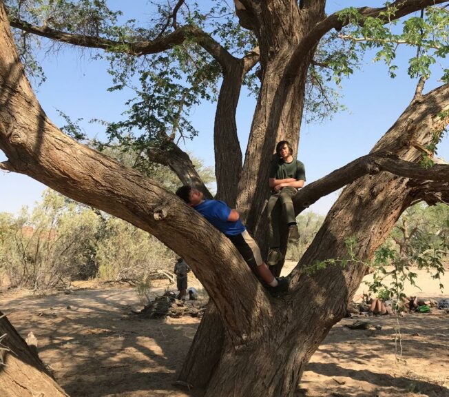 Two students from The King Alfred School sit in a tree in the Namibian desert