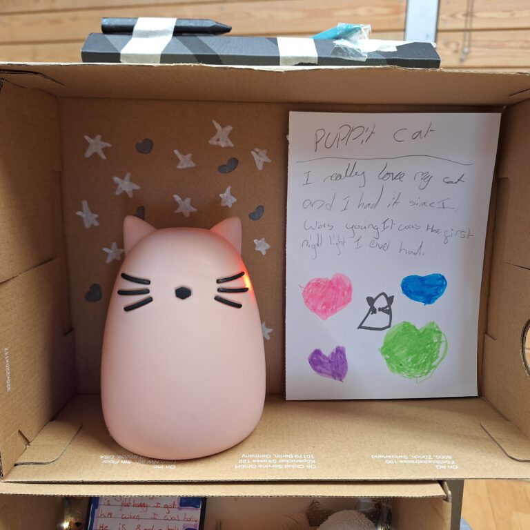 A shoebox with a cute cat-like nightlight inside. A note reads: 'Puppit Cat. I really love my cat and I had it since I was young. It was the first night light I ever had.'