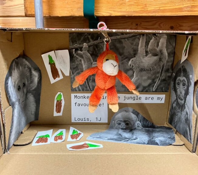 A decorated shoebox with pictures of baby orangutans inside and an orange orangutan soft toy hanging from the roof. A note reads: 'Monkeys in the jungle are my favourite!'