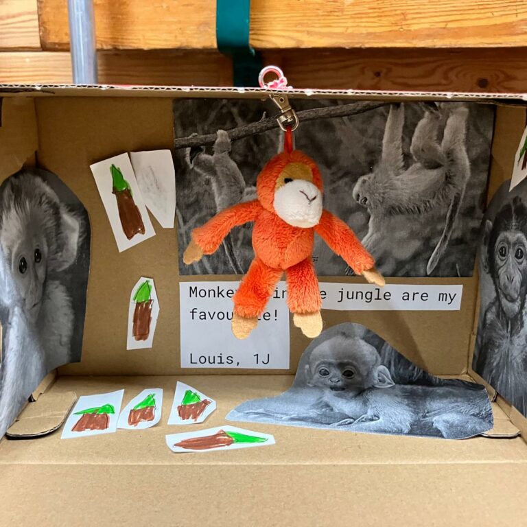 A decorated shoebox with pictures of baby orangutans inside and an orange orangutan soft toy hanging from the roof. A note reads: 'Monkeys in the jungle are my favourite!'