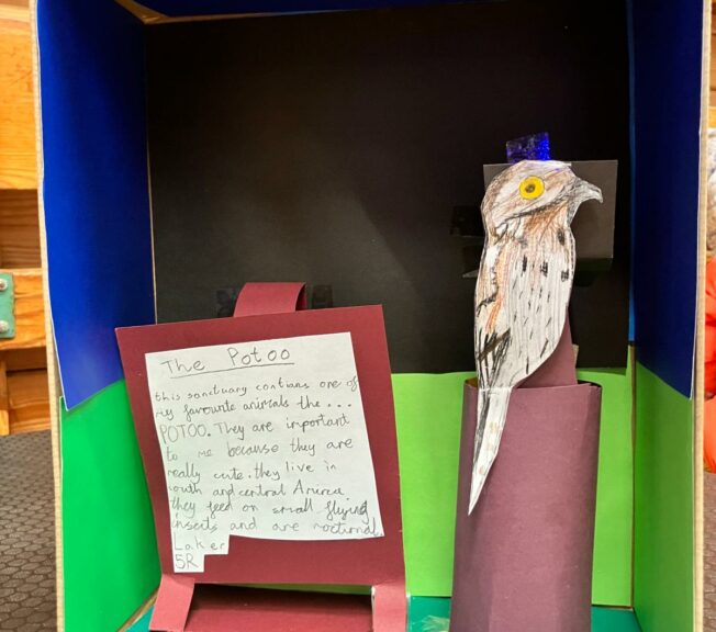 A decorated shoebox with a picture of a bird inside. A note reads: 'The Potoo. This sanctuary contains one of my favourite animals, the... POTOO. They are important to me because they are really cute. They live in South and Central America. They feed on small flying insects and are nocturnal.'