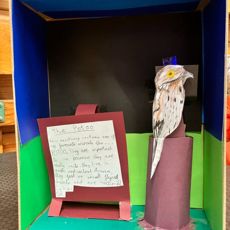 A decorated shoebox with a picture of a bird inside. A note reads: 'The Potoo. This sanctuary contains one of my favourite animals, the... POTOO. They are important to me because they are really cute. They live in South and Central America. They feed on small flying insects and are nocturnal.'
