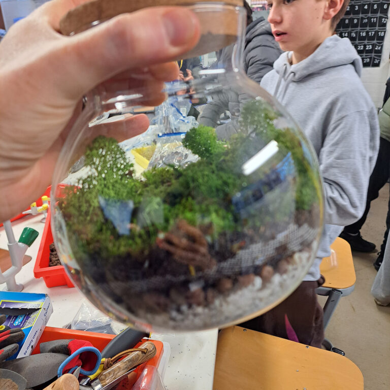 Close up of a small glass terrarium, a jar containing soil and small plants