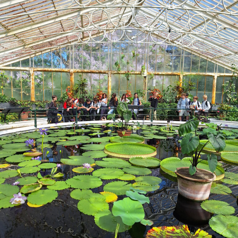 Students are pictured on the far side of a water feature inside a glasshouse. There are big lily pads on the water's surface.