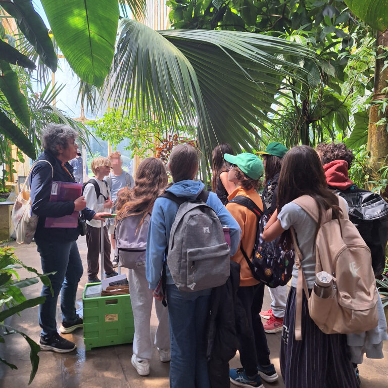 A group of students listen to a tour guide under huge palm leaves in a glasshouse at Kew Gardens