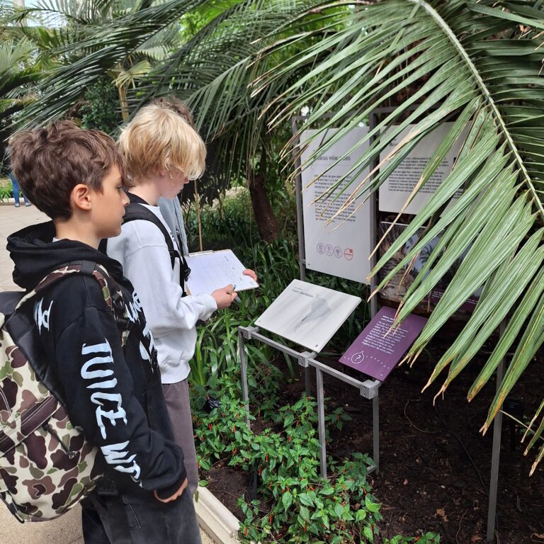 Two male students consult an information board alongside tropical plants in a glasshouse at Kew Gardens