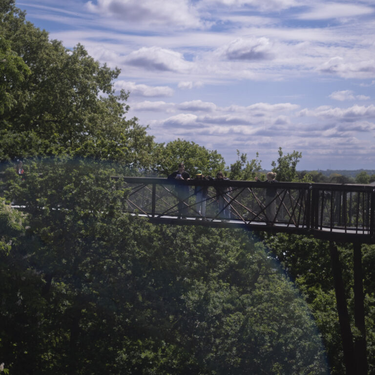 Students are pictured from a distance standing on a treetop walkway with a wide expanse of sky behind them