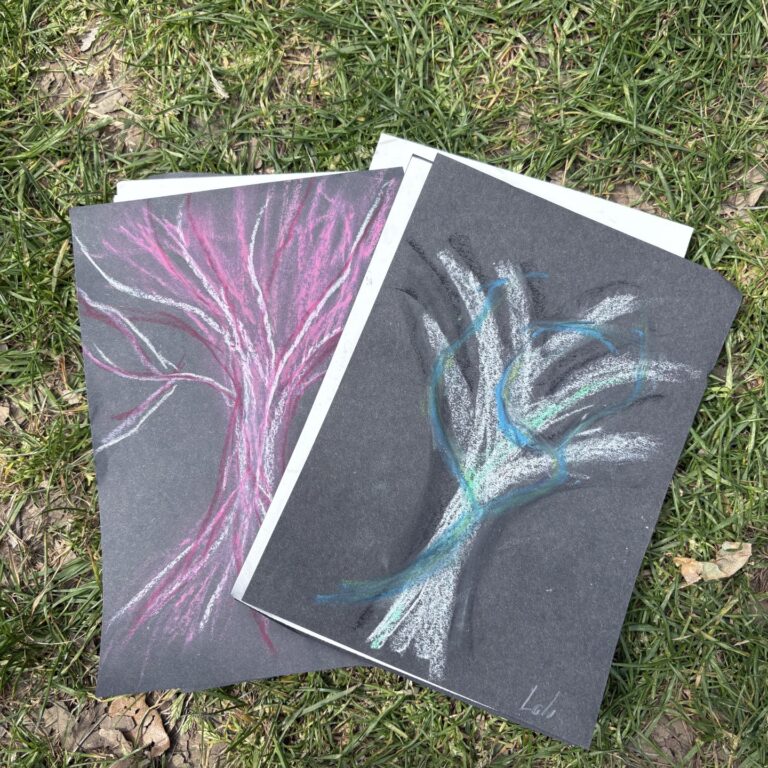 Two blue and oink chalk sketches of trees on black paper, photographed on some grass