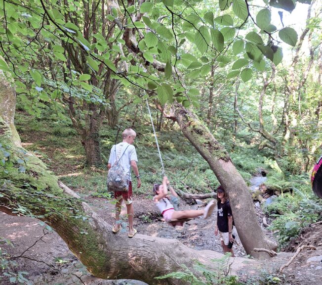 A female student swings from a rope tied to a tree branch in a woodland area, whilst two male students watch on.