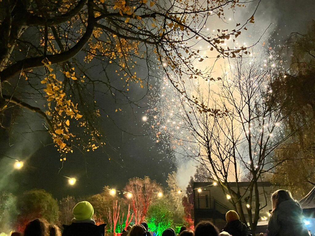 Parents and students enjoying fireworks evening at The King Alfred School