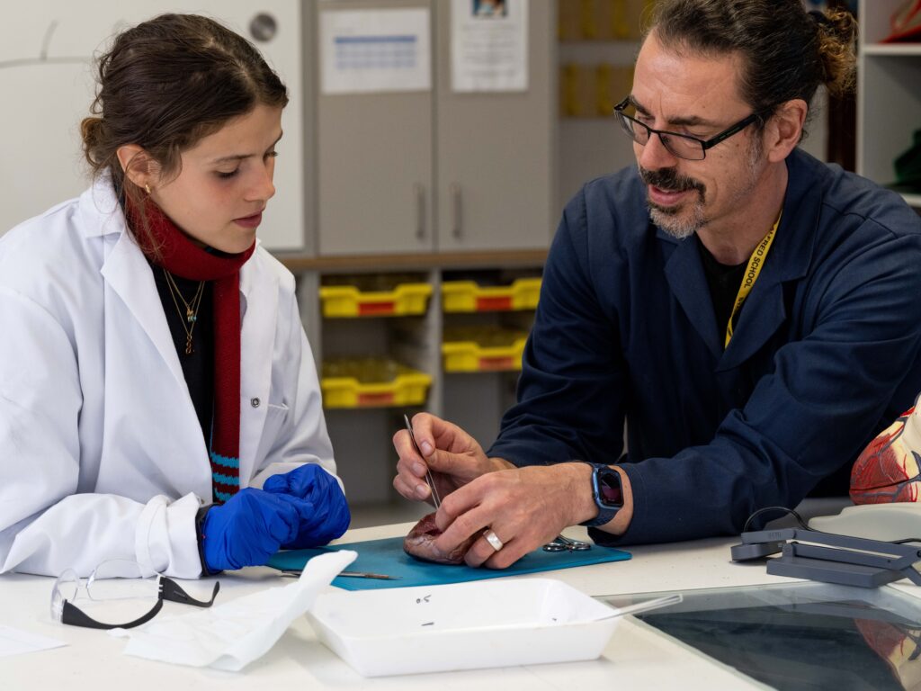 a female student in a white lab coat and blue protective gloves helps to dissect a heart alongside a teacher in a blue lab coat and glasses